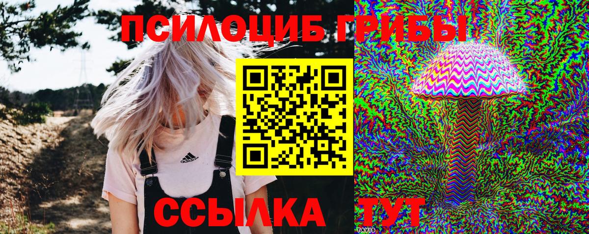 Псилоцибиновые грибы Magic Shrooms Санкт-Петербург